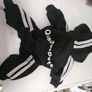 Black Dog Hoodie with White Stripes